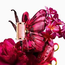 La Bomba Carolina Herrera 80ML - Imagem 2